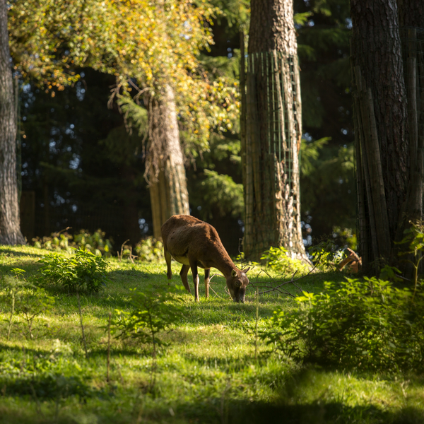 World Environment Day: How To Make A Difference